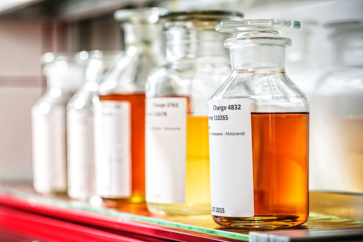 Лаборатория Meguin - Напредък